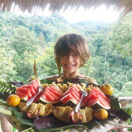 Orangutantreksumatra & Lovely Jungle Lodge Only Book If You Are Treking With Us 부킷 라왕 외부 사진