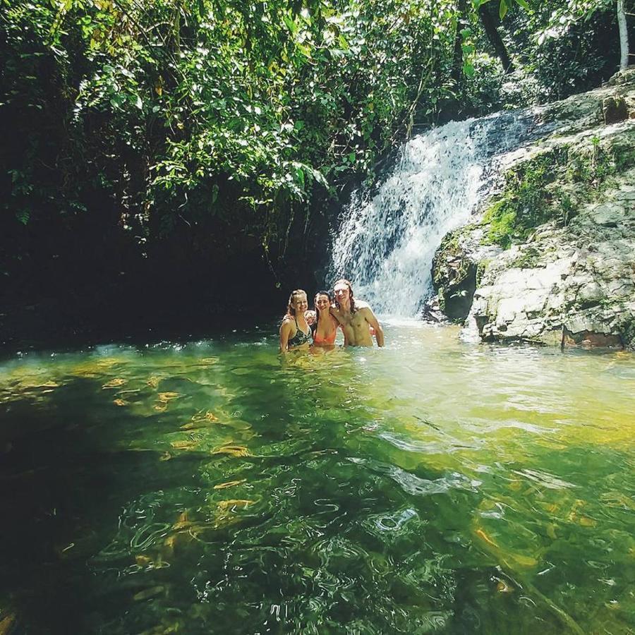 Orangutantreksumatra & Lovely Jungle Lodge Only Book If You Are Treking With Us 부킷 라왕 외부 사진