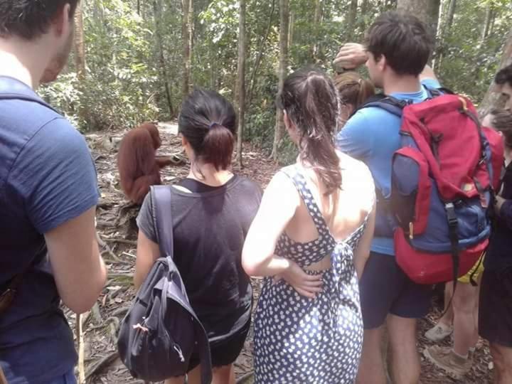Orangutantreksumatra & Lovely Jungle Lodge Only Book If You Are Treking With Us 부킷 라왕 외부 사진