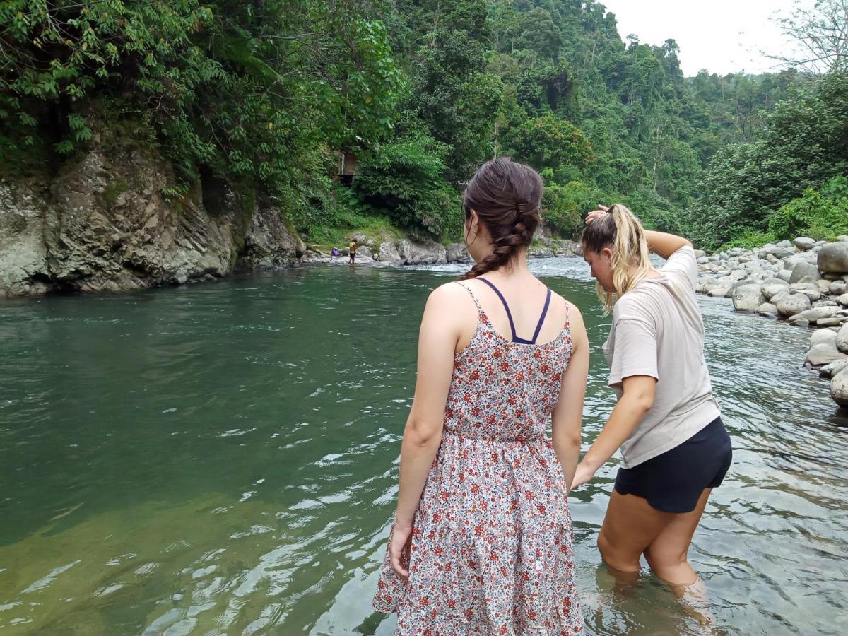 Orangutantreksumatra & Lovely Jungle Lodge Only Book If You Are Treking With Us 부킷 라왕 외부 사진