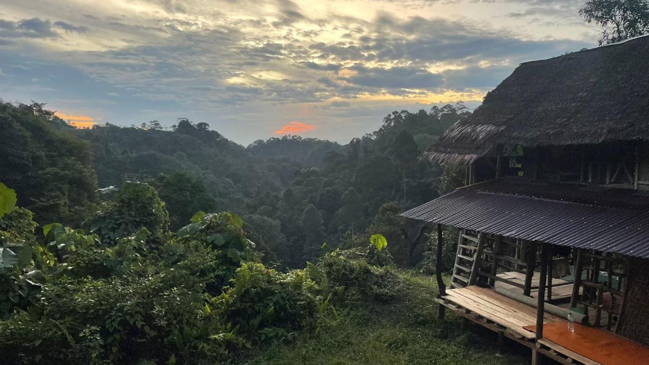 Orangutantreksumatra & Lovely Jungle Lodge Only Book If You Are Treking With Us 부킷 라왕 외부 사진
