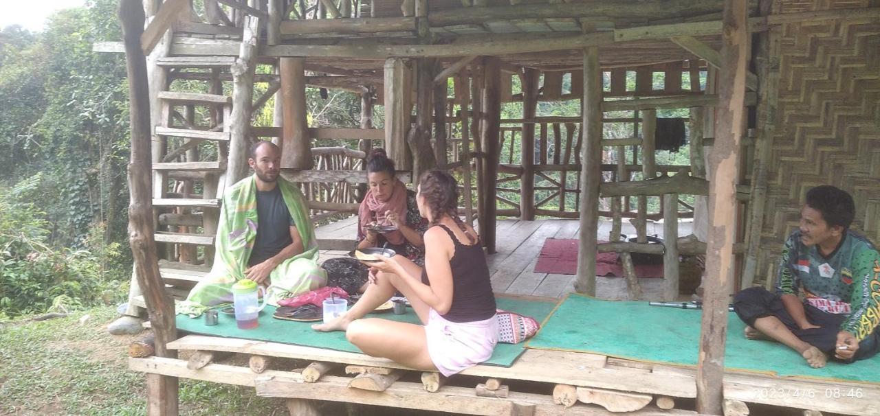 Orangutantreksumatra & Lovely Jungle Lodge Only Book If You Are Treking With Us 부킷 라왕 외부 사진