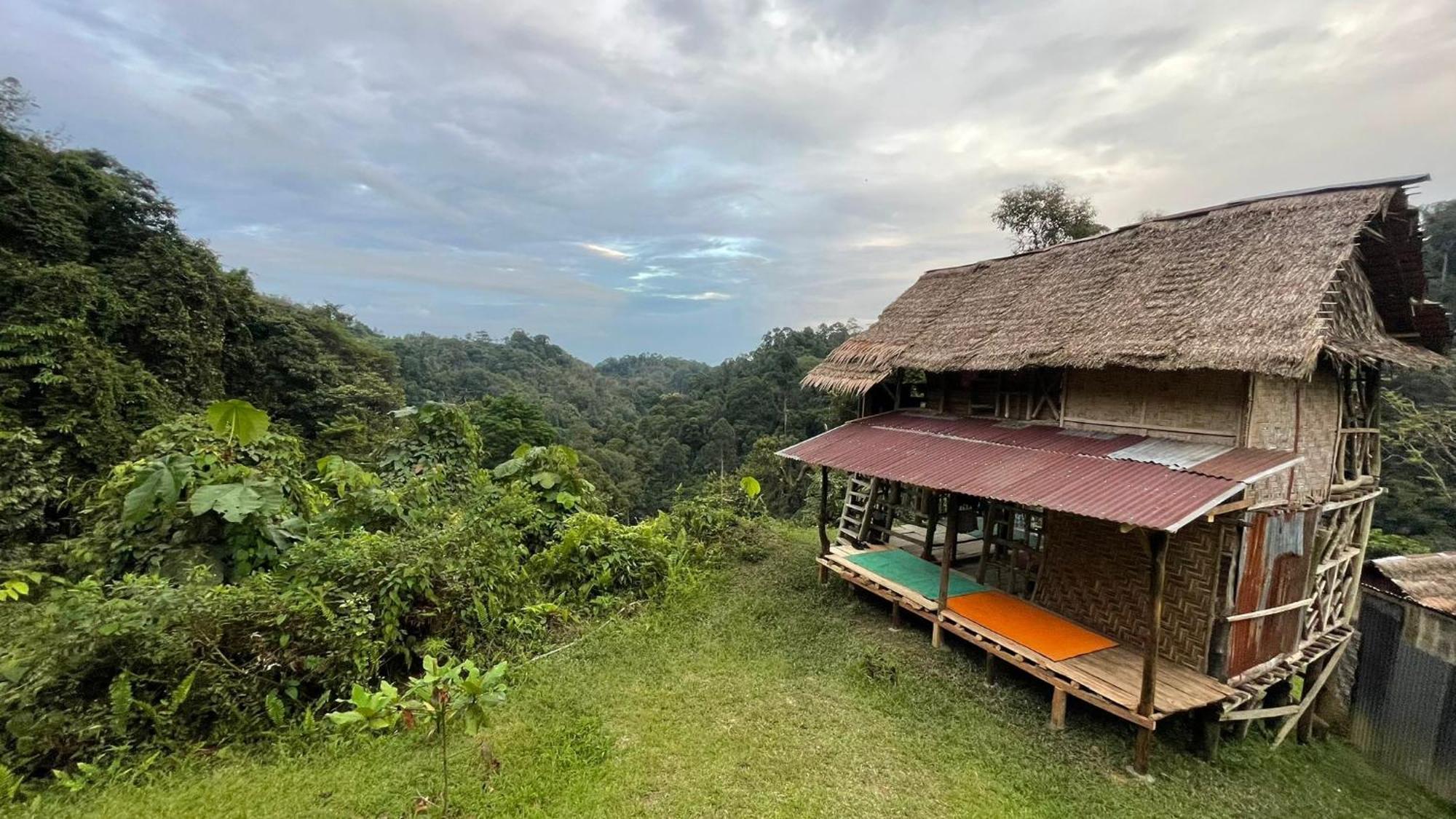Orangutantreksumatra & Lovely Jungle Lodge Only Book If You Are Treking With Us 부킷 라왕 객실 사진