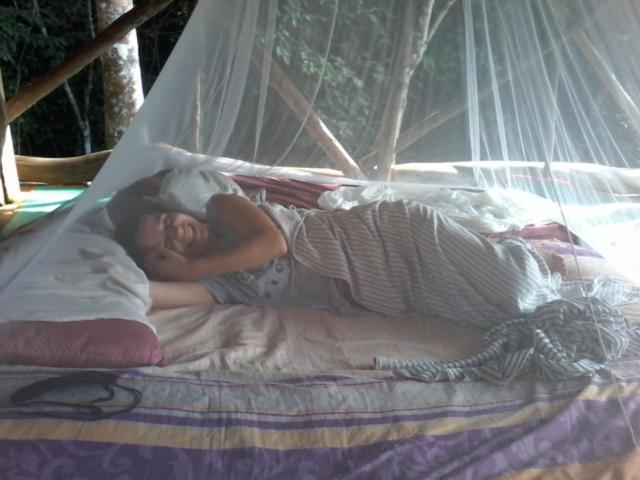 Orangutantreksumatra & Lovely Jungle Lodge Only Book If You Are Treking With Us 부킷 라왕 객실 사진