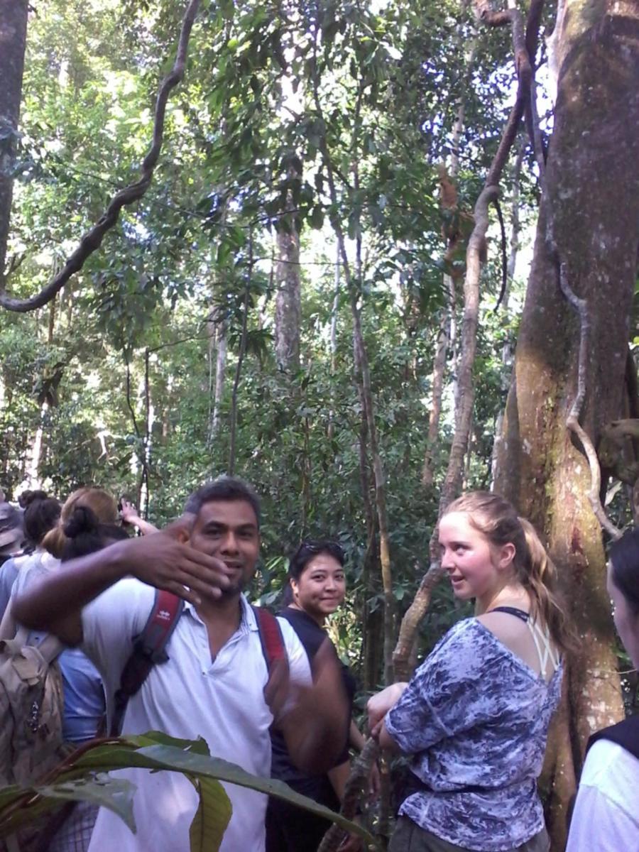 Orangutantreksumatra & Lovely Jungle Lodge Only Book If You Are Treking With Us 부킷 라왕 객실 사진