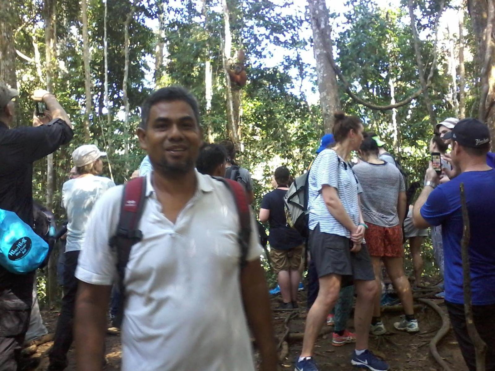 Orangutantreksumatra & Lovely Jungle Lodge Only Book If You Are Treking With Us 부킷 라왕 객실 사진