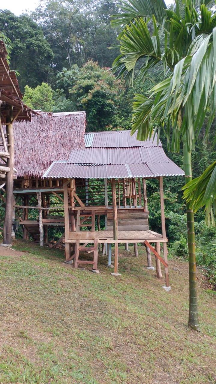 Orangutantreksumatra & Lovely Jungle Lodge Only Book If You Are Treking With Us 부킷 라왕 외부 사진