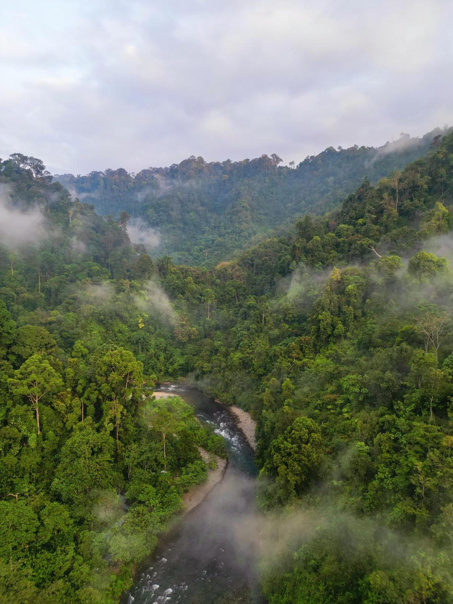 Orangutantreksumatra & Lovely Jungle Lodge Only Book If You Are Treking With Us 부킷 라왕 외부 사진