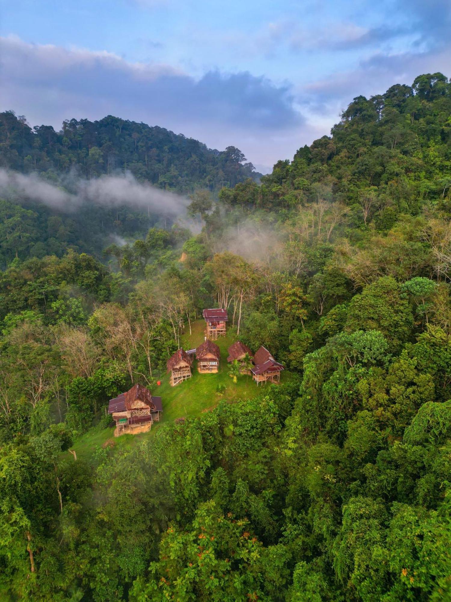 Orangutantreksumatra & Lovely Jungle Lodge Only Book If You Are Treking With Us 부킷 라왕 외부 사진