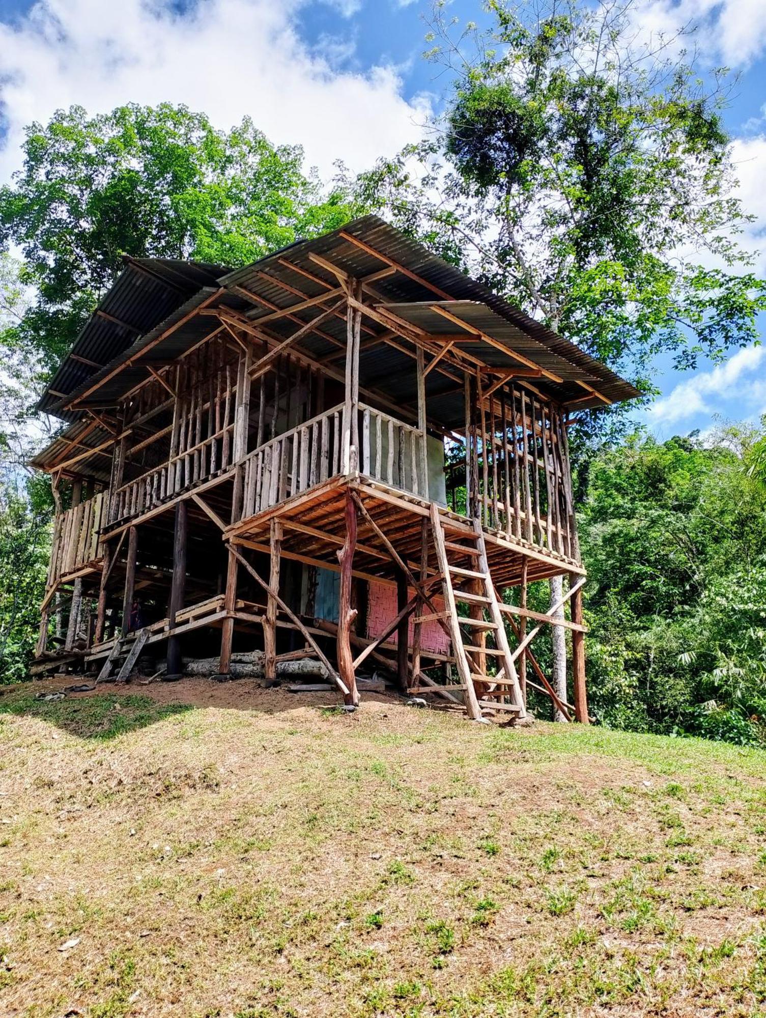 Orangutantreksumatra & Lovely Jungle Lodge Only Book If You Are Treking With Us 부킷 라왕 외부 사진