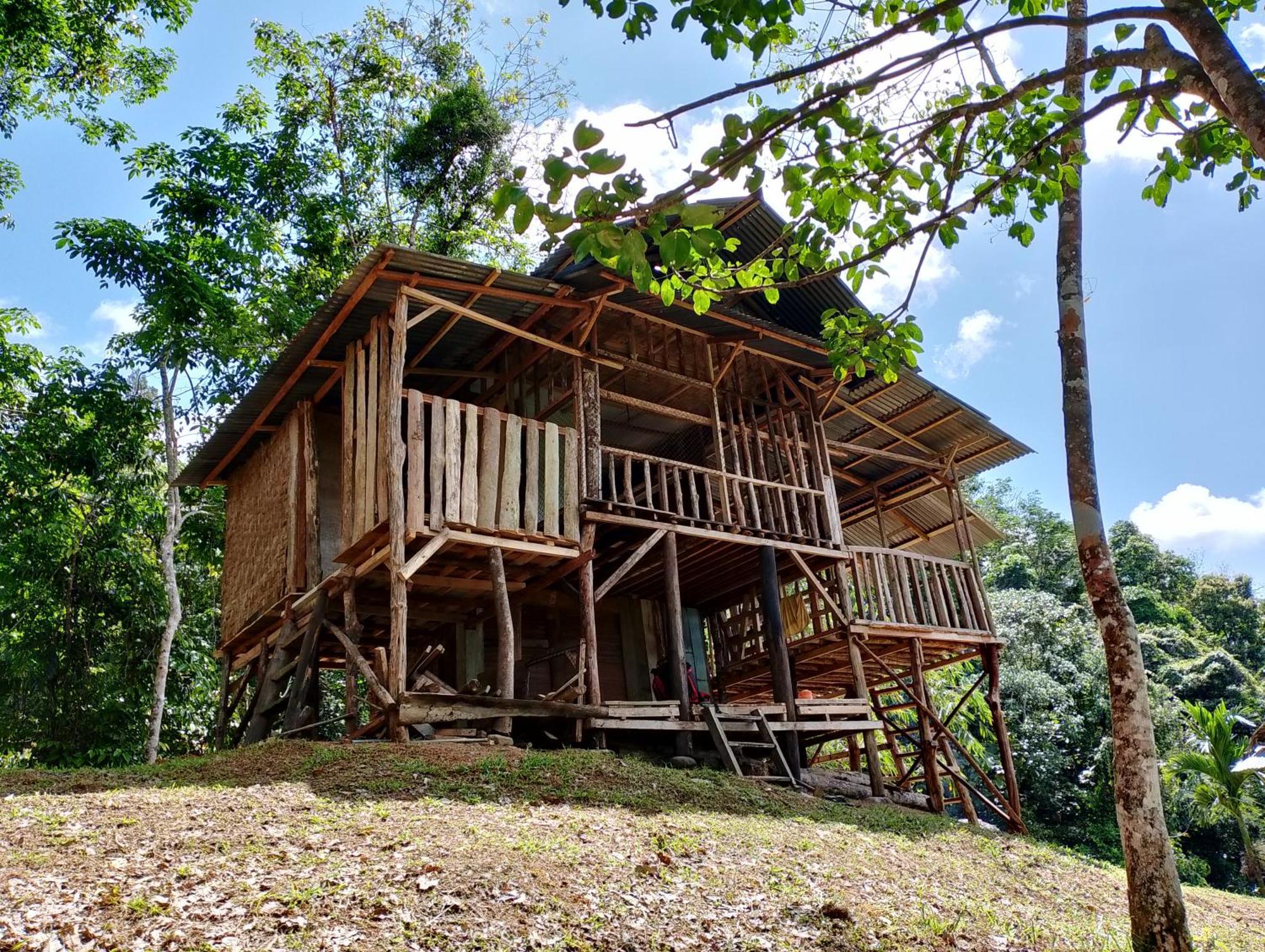Orangutantreksumatra & Lovely Jungle Lodge Only Book If You Are Treking With Us 부킷 라왕 외부 사진